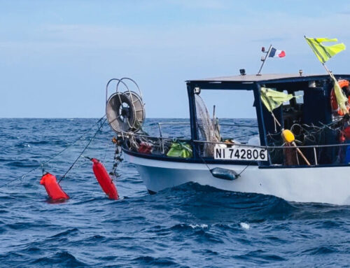 Retrait de filets en collaboration avec les pêcheurs artisans