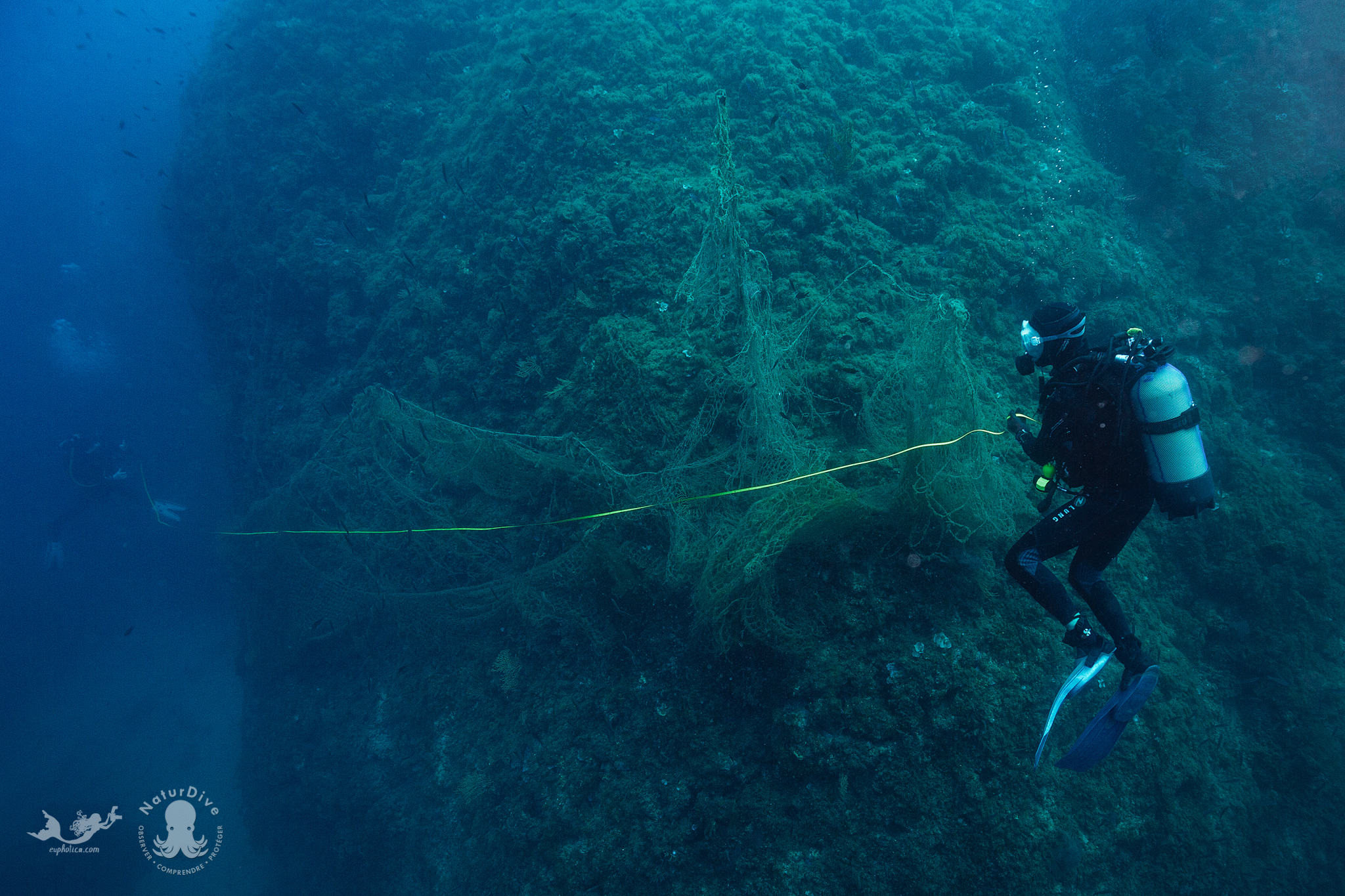 Les filets perdus par les pêcheurs, un danger pour la biodiversité marine