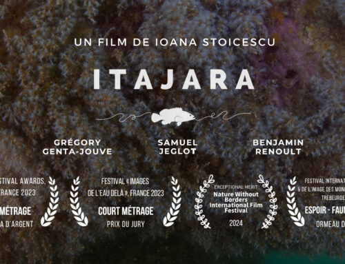 ITAJARA : le documentaire est en ligne !