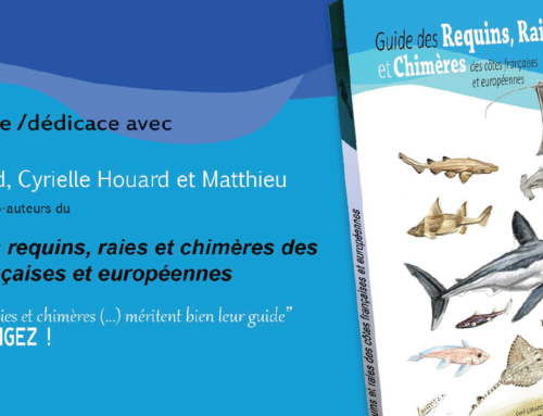 Conférence sur les requins, raies et chimères d’Europe